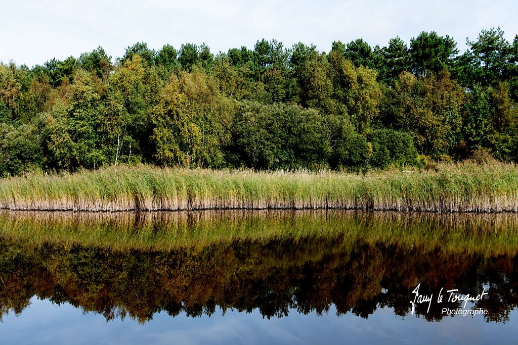 Baie-de-Somme-0127.jpg