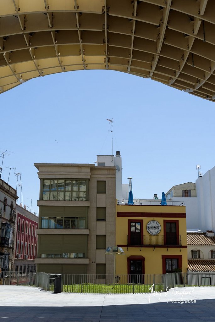 Seville-0213.jpg