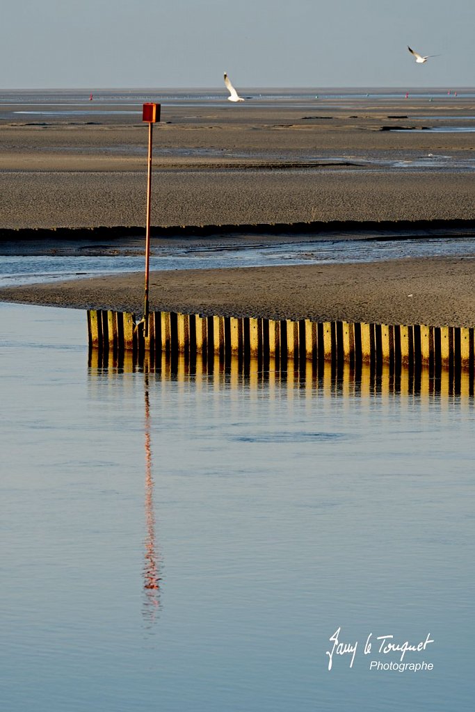 Baie-de-Somme-0304.jpg