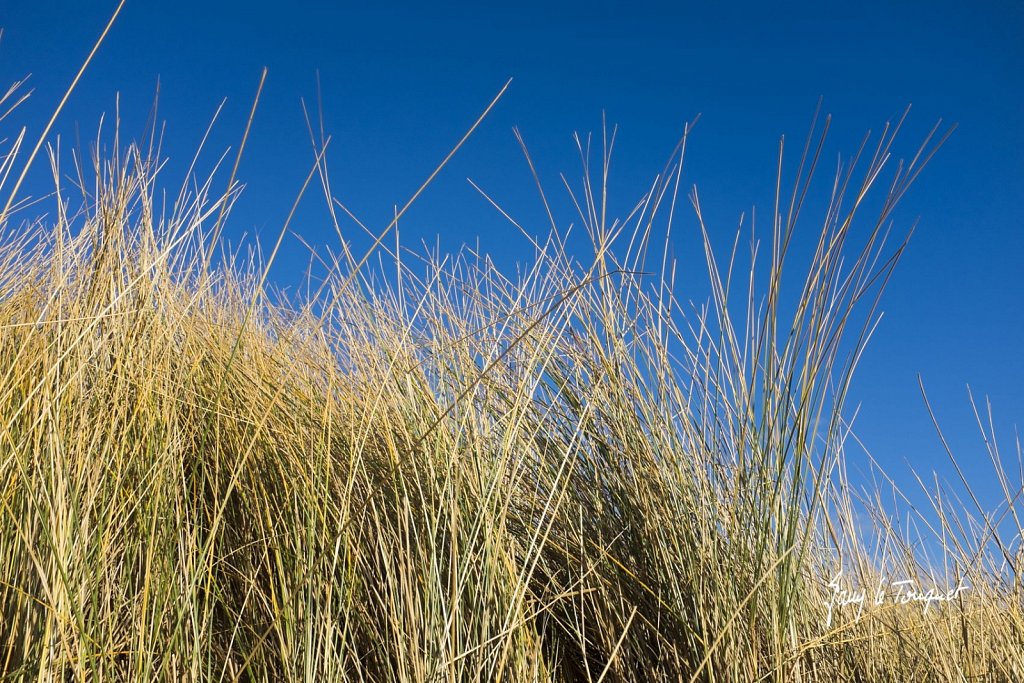 Le-Touquet-0777.jpg
