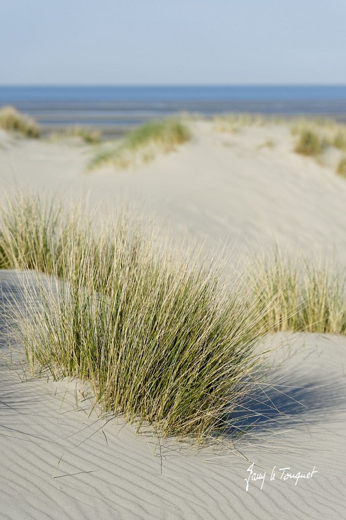 Le-Touquet-0792.jpg