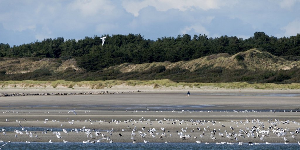 Le-Touquet-0976.jpg
