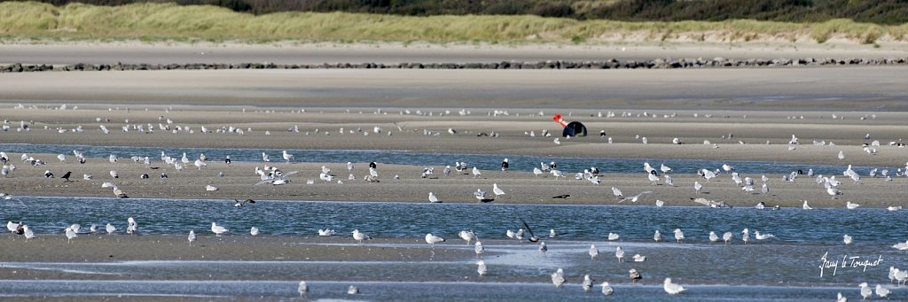 Le-Touquet-0977.jpg