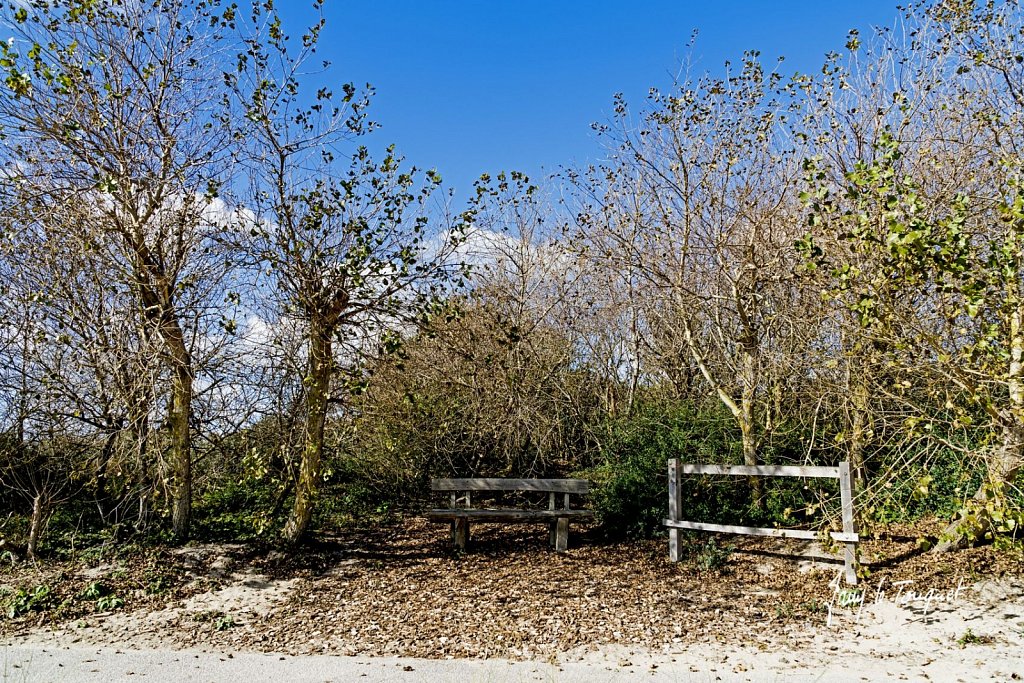 Le-Touquet-1240.jpg