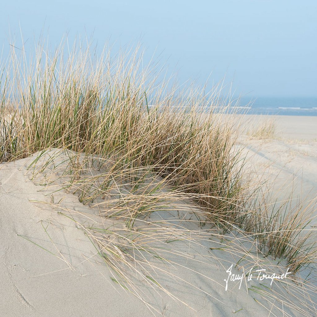 Le-Touquet-0014.jpg