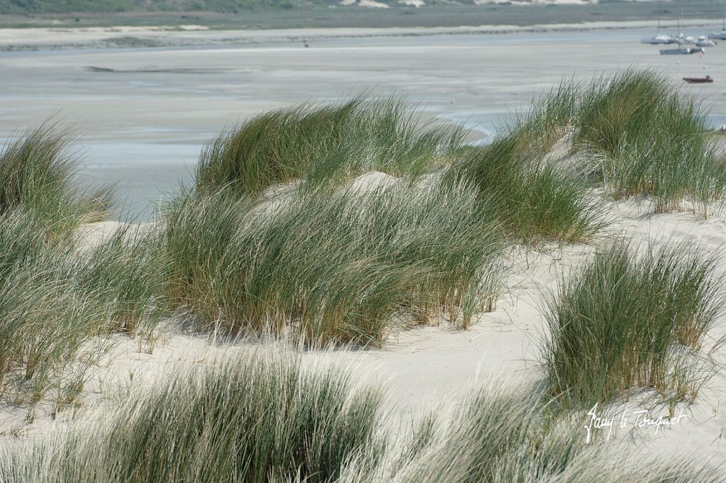 Le-Touquet-0047.jpg