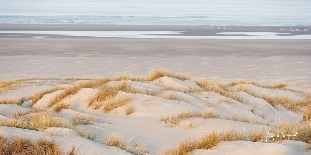 Le-Touquet-0264.jpg