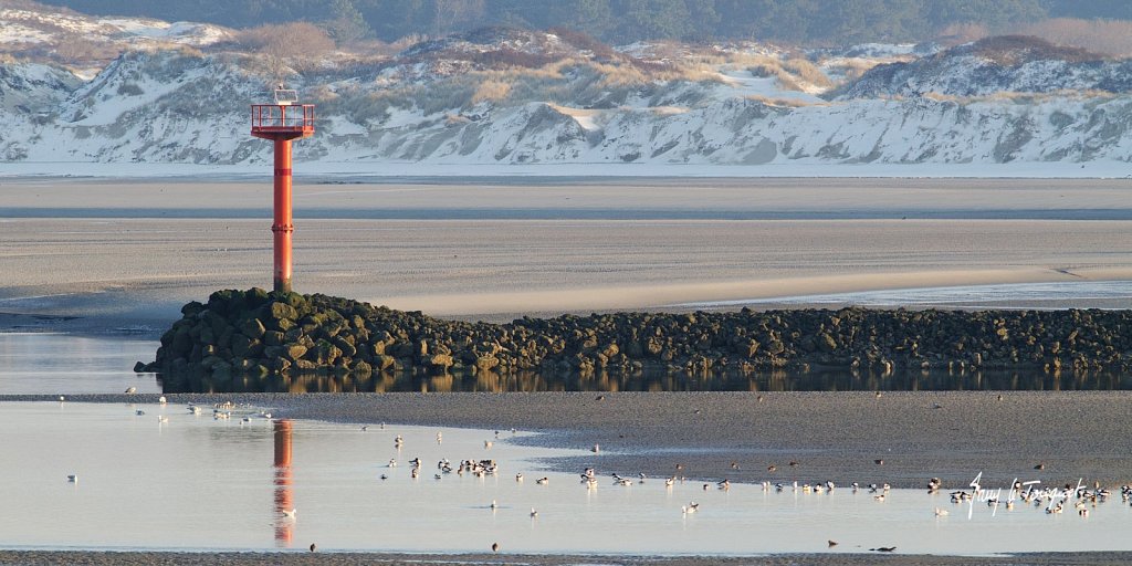Le-Touquet-0285.jpg