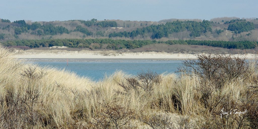 Le-Touquet-0295.jpg