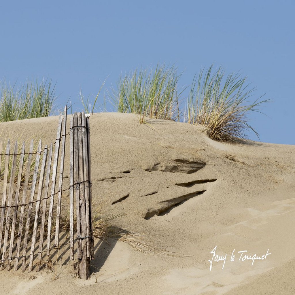 Berck-sur-Mer-0954.jpg