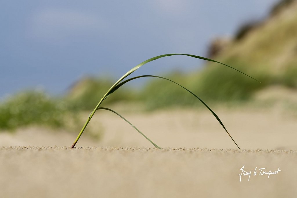 Berck-sur-Mer-0955.jpg