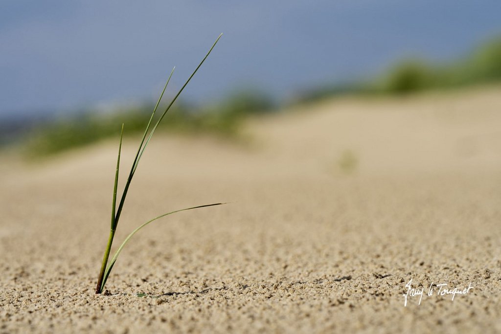 Berck-sur-Mer-0956.jpg