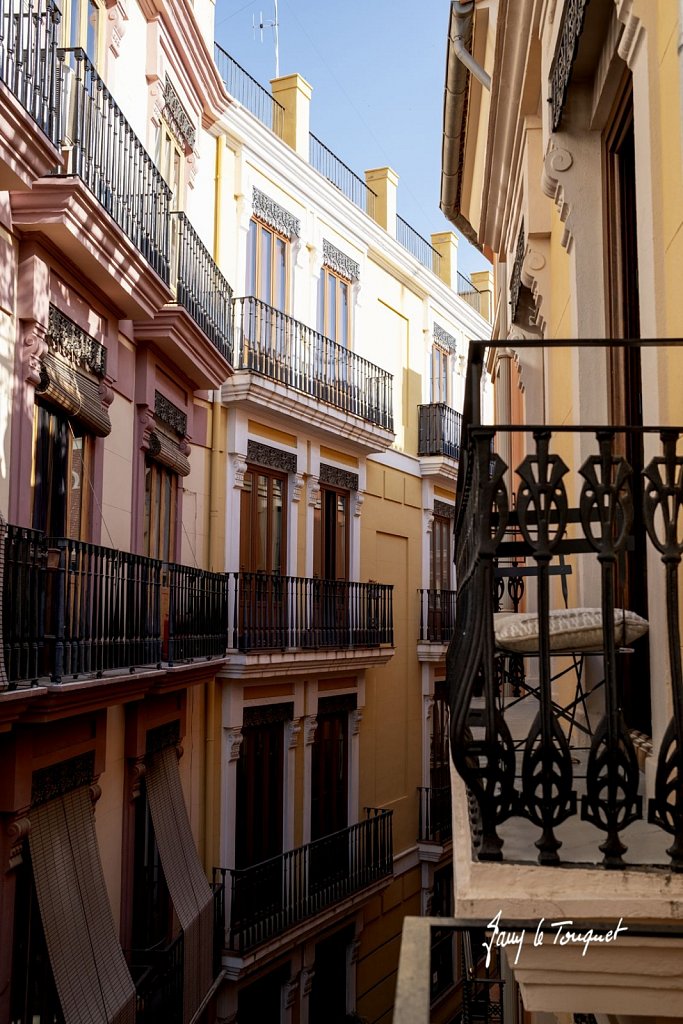 Valence-0009.jpg